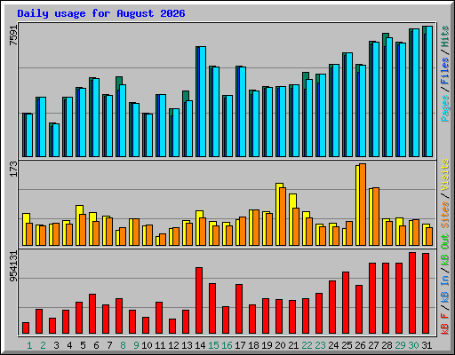Daily usage for August 2026