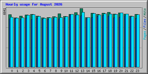 Hourly usage for August 2026